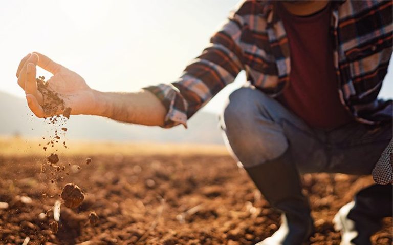 1571-11-01-e1652978646513